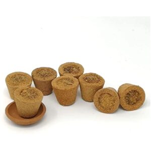 Panchagavya Sambarani Cup 10pcs