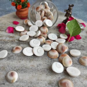 GOMATI CHAKRA SMALL 100GM